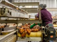 Cumplimiento normativo laboral: la pieza clave que puede salvar a tu empresa