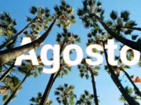 Calendario fiscal de agosto 2025: las obligaciones no se van de vacaciones