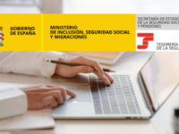 Cómo consultar tu vida laboral online: la guía esencial para no perder derechos