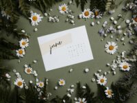 Hacienda activa el calendario fiscal de junio: un mes clave con cientos de obligaciones para empresas, autónomos y contribuyentes